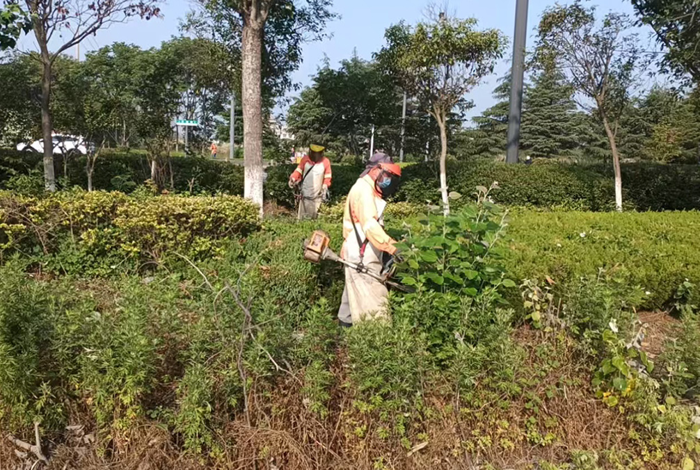 6e03486cb1afe61fbbf2738f7a226ce4