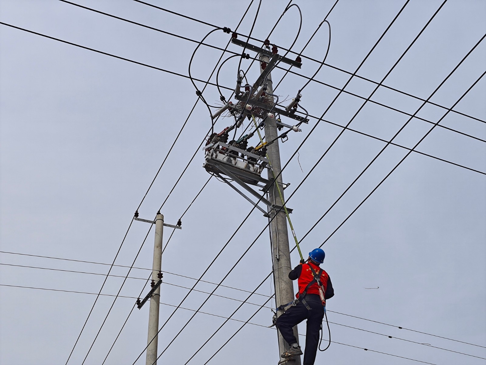 1711417392314076734.jpg 清除鳥窩專項(xiàng)行動1.jpg